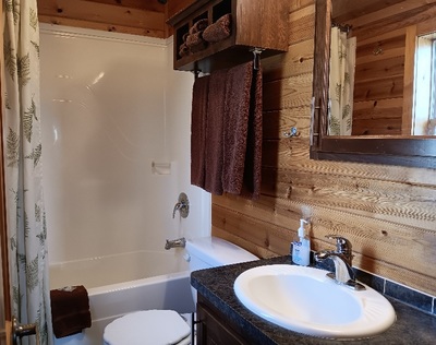 Cabin 4