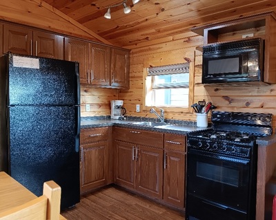 Cabin 4