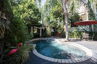 A curved pool with a red umbrella and pink flamingo decorations surrounded by lush greenery and a palm tree.