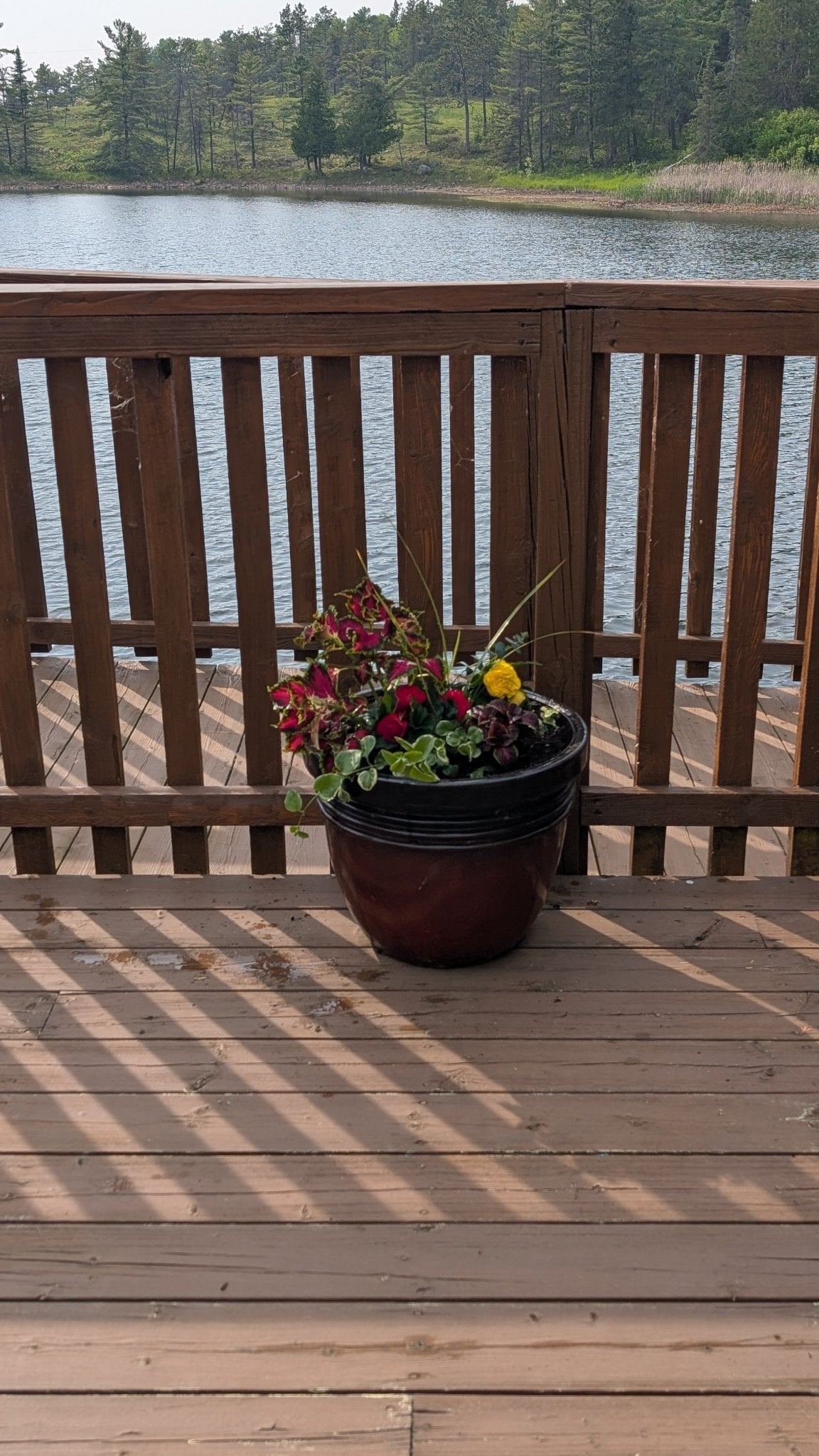 Cabin 1